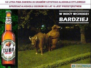 Osteria Pizzeria Cugini