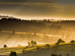 Kocham Ząb