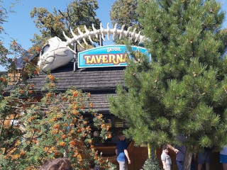 Tavern Zator Fish Fryer