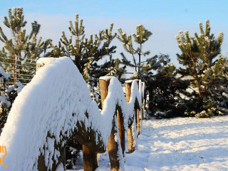 Leśny Dwór Myślin K. Bieżunia