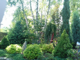 Gospoda Spyrowka Szymocice