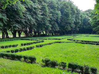 Obiady W Domu Kopernika