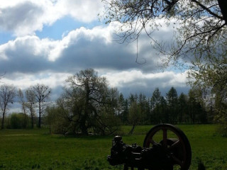 Stary Młyn Pizzeria