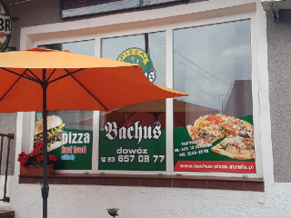 Bachus