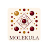 Molekuła Rest.