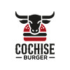 Cochise Pabianice