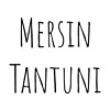 Mersin Tantuni
