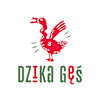 Dzika Gęś