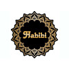 Habibi Spicy Kebab