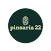 Pinsaria 22