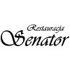 Senator