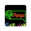 Papuga