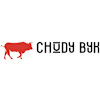 Chudy Byk