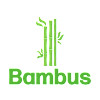 Bambus Turek