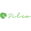 Pilea