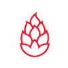 Ogień Pizza