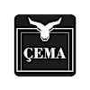 Çema