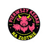 Pierwszy Kebab Na Złotnie